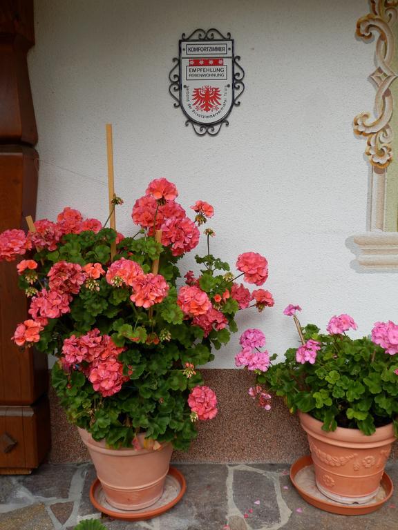 Haus Seebach แบร์วัง ภายนอก รูปภาพ