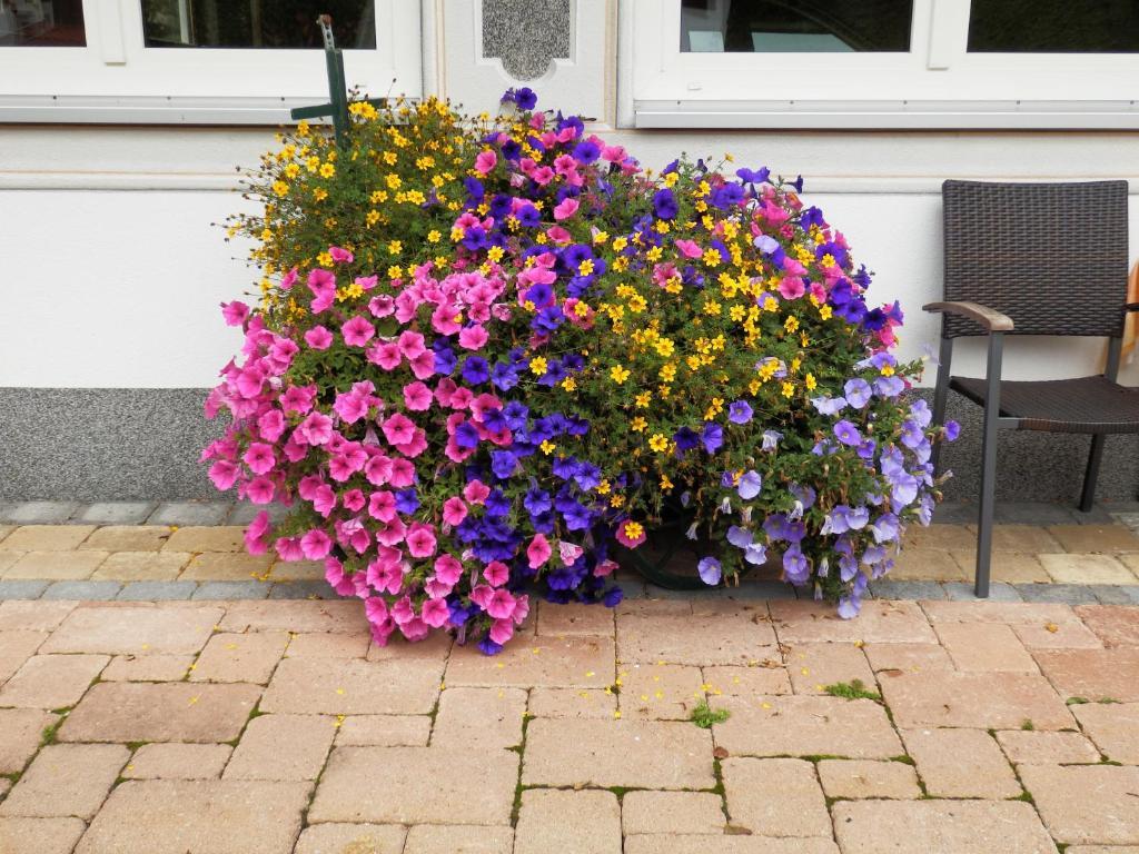 Haus Seebach แบร์วัง ภายนอก รูปภาพ